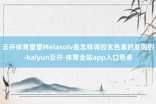 云开体育望望Melasolv是怎样调控玄色素的基因的-kaiyun云开·体育全站app入口登录