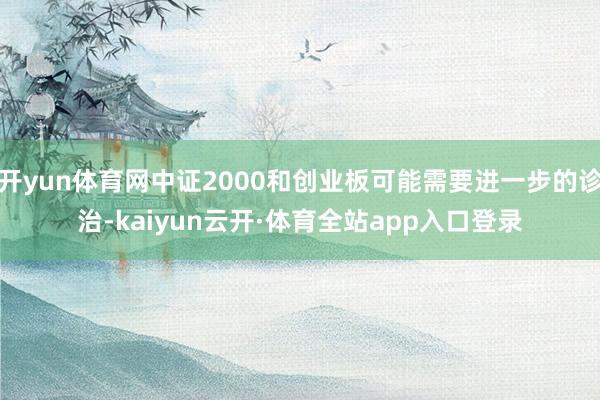开yun体育网中证2000和创业板可能需要进一步的诊治-kaiyun云开·体育全站app入口登录